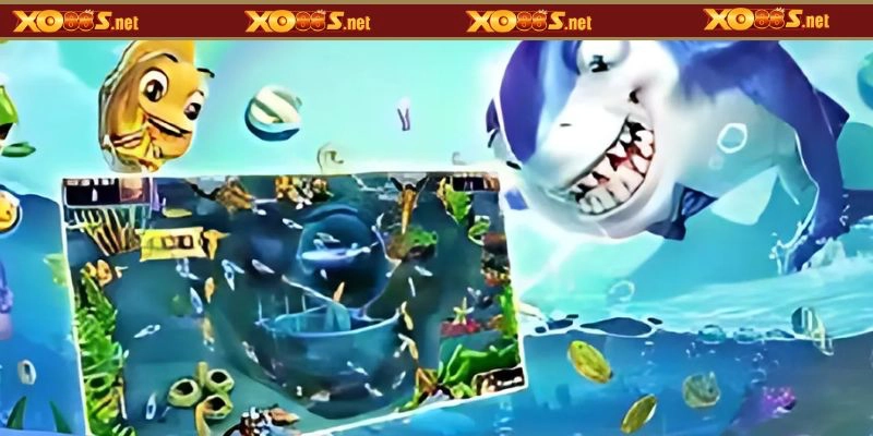 Các sự kiện & phần thưởng hấp dẫn 