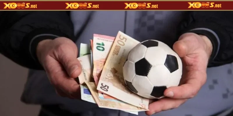 Cách đặt cược 1x2 dễ nhất cho người mới