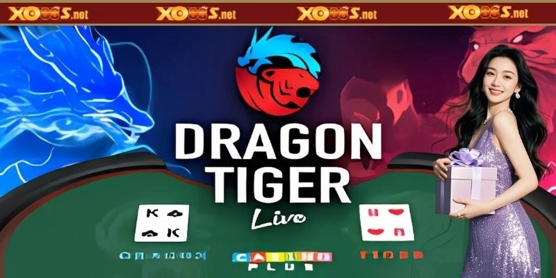 Dragon Tiger