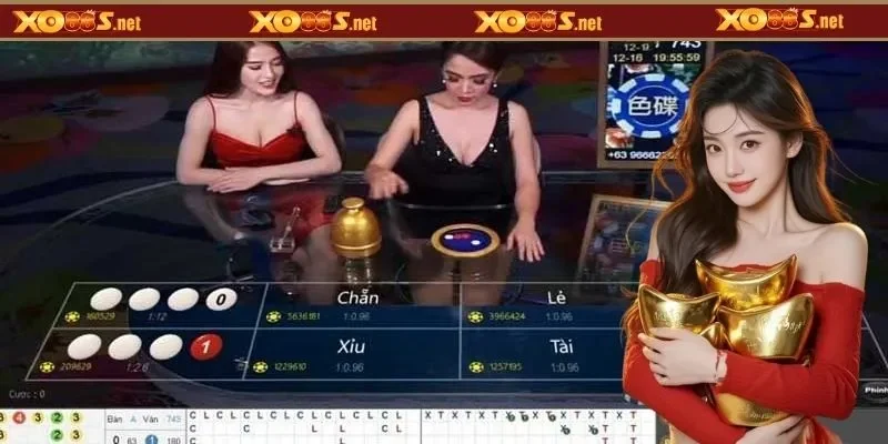 Luật chơi xóc đĩa đổi thưởng tại XO88