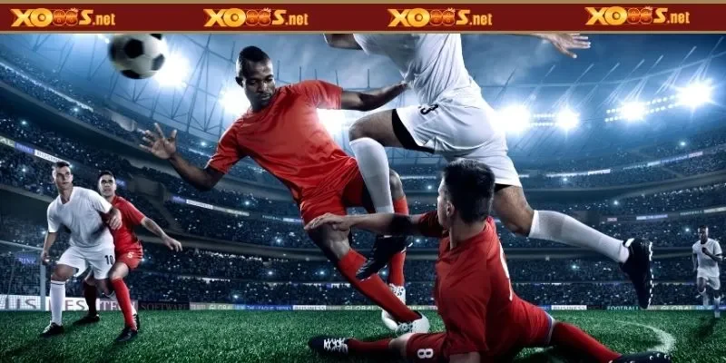 Tỷ lệ ăn cao nếu bắt đúng kèo